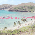 cocostar0526さまオーダー商品
