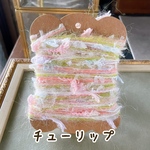 フルーツ　引き揃え糸