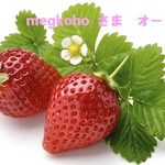 megkoho さま専用オーダー品