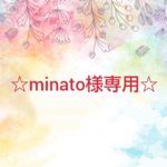 minato様専用.*･ﾟキーホルダー