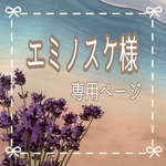 専用ページ