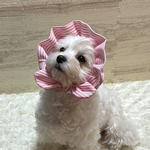 犬の　ぼうしみたいなスヌード👒　ぴんくのストライプ🩷