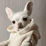 磁器人形「ＧＩＦＴ～フレンチブルドッグパピー」