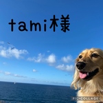 ꕤ︎︎tami様ꕤ︎︎