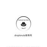 droptorute様専用