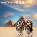minoaikana様専用ページ