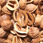 鬼くるみの殻半割×１００片（５０個分相当）