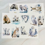 winter animal