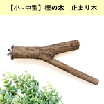 【中型インコ向け】自然木の止まり木
