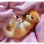 生まれたてのネコしゃんＮｏ．7