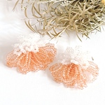 jelly-orenge-