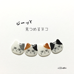 ジーッと見つめるネコのピアス(イヤリング)