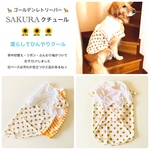 大型犬　RL   完成品　クール