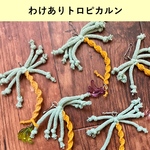 【訳あり】特別価格トロピカルン