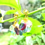 🆕光の結晶 〜チェコペタル〜