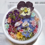 可愛い過ぎ✨ドライフラワー 🌸花材 詰め合わせ限定セット❣️小花 ／画像のお花をお入れしています／カラフルMIX／キャンドル ハーバリウム、レジン アクセサリーなどに