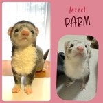 ✨パルムちゃん✨専用　ご決済用ページ