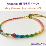 *micomico3様専用ページ* ワンコチョーカー【迷子札等用／レインボーハーフ】