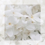 【pamco様】追加購入分