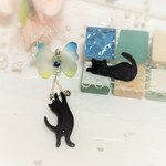 あなたはどっち？【猫シリーズ】