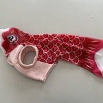 XLサイズ♡鯉のぼり♡RED