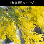 K様専用注文ページ・Mサイズ(座面幅W48cm)・フローラ背板・D35cm(ダックス仕様)・H 40cm(カラー🌼ライムライト)わんちゃん撮影用折り畳みベンチ