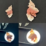 売約済　2024.3最新作品　金魚舞