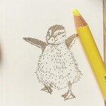 『マガモのヒナ』　（バンザイ？）　野鳥の消しゴムはんこ