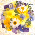 ♡new♡作家様必見♡押し花MIXセット♡押し花セット