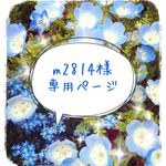 m2814様専用ページ