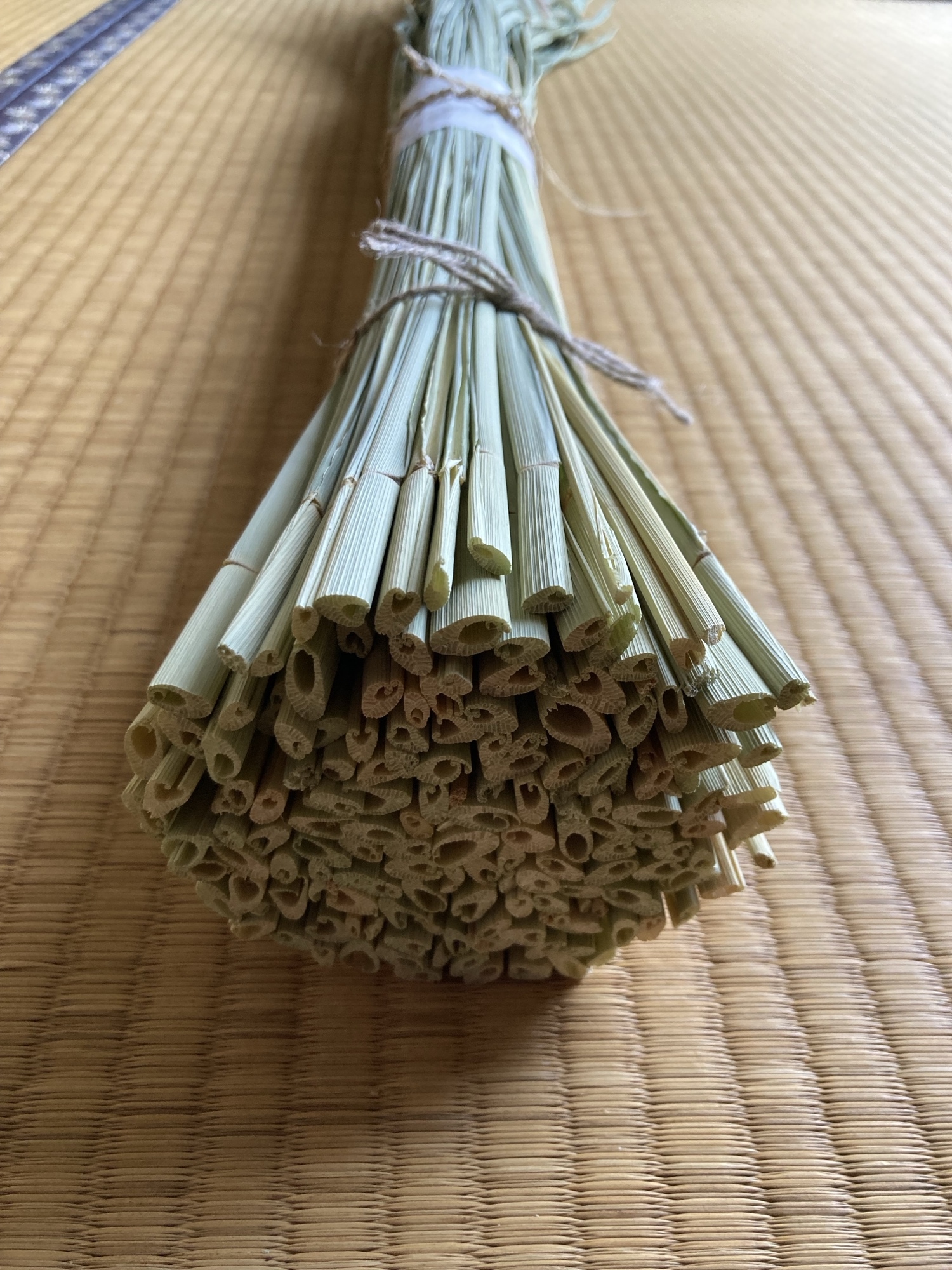 乾燥真菰(まこも)葉［長さ125cm×300g］上質品 】 - studiomoku