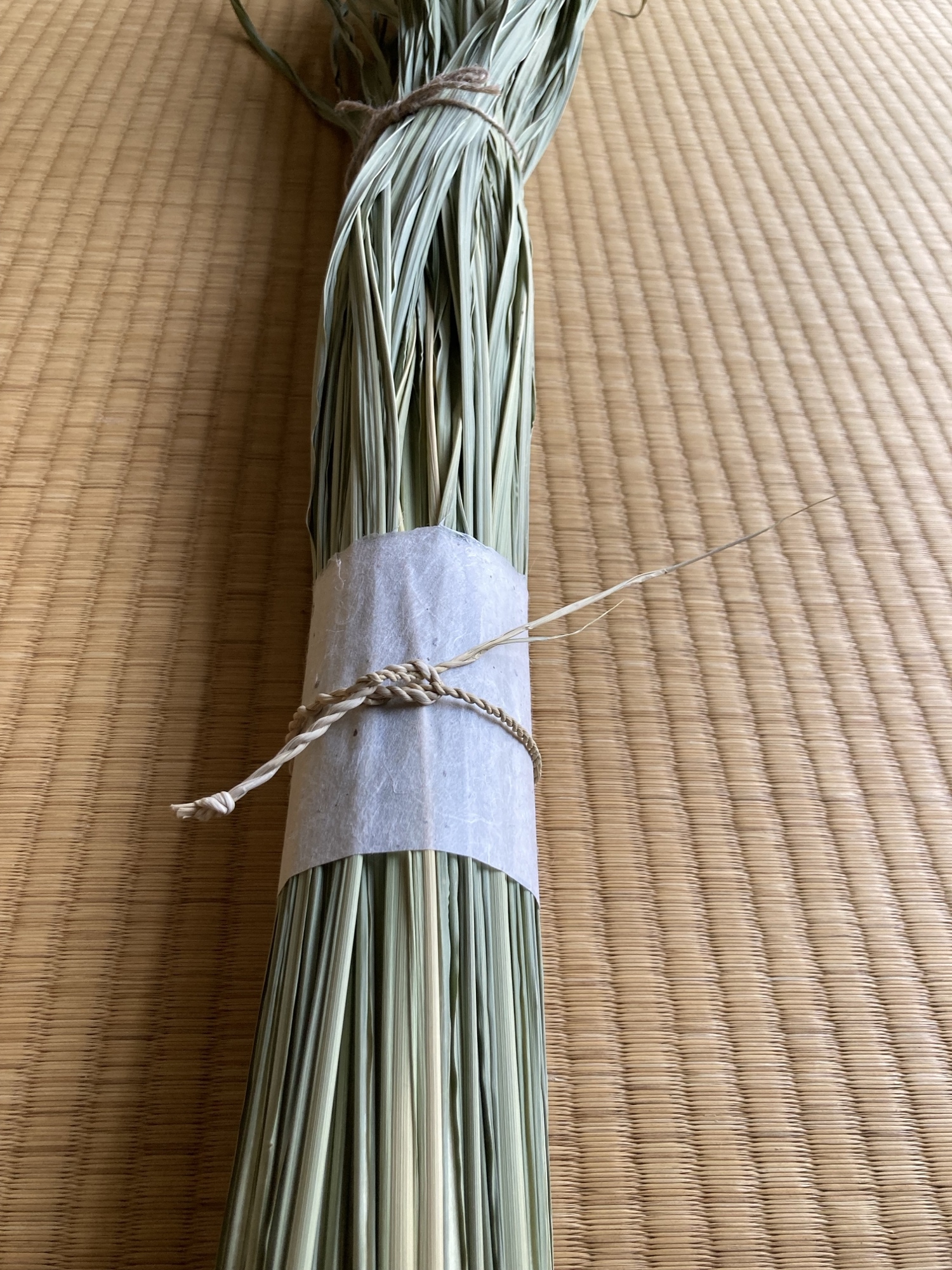 真菰葉700g 乾燥真菰(まこも)葉［長さ125cm×300g］上質品 】 - studiomoku
