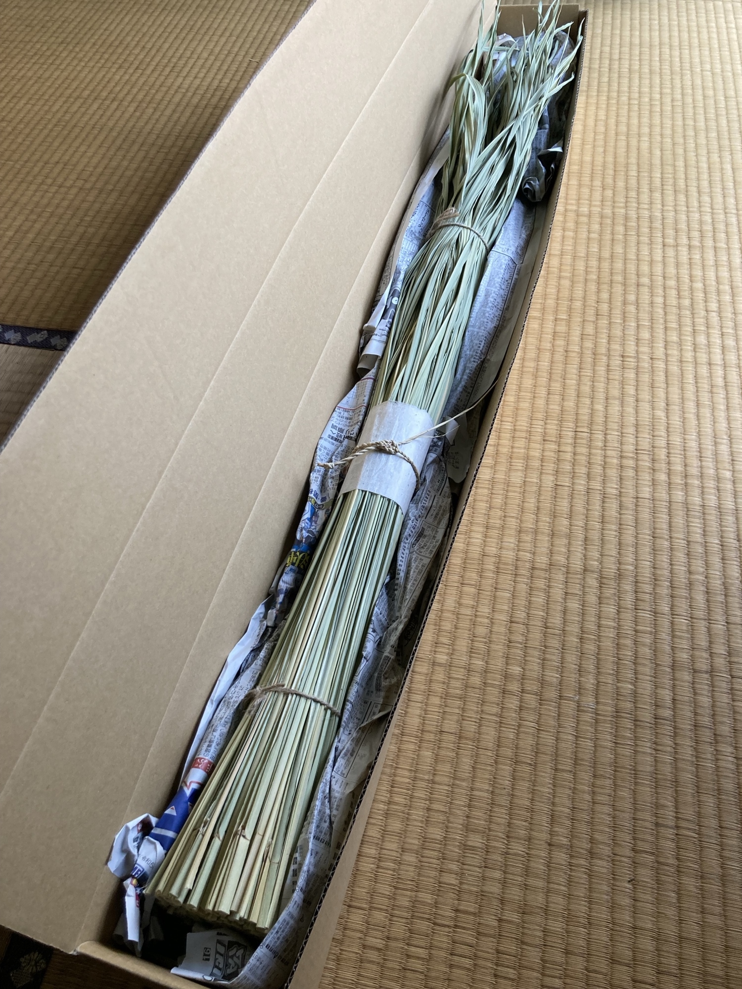 乾燥真菰(まこも)葉［長さ125cm×300g］上質品 】 - studiomoku