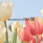 momoeri666様専用ページ