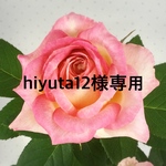 hiyuta12様専用
