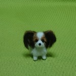 オーダー品  パピヨン 羊毛フェルト 