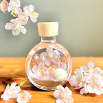 【送料無料】桜と海のハーバリウム