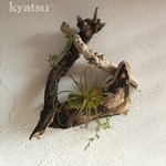 【18】壁掛け 流木アート★流木グリーン　  