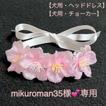  【犬用】犬チョーカー　犬ヘッドドレス　犬リボン　桜　犬誕生日　犬記念日　お花見　犬ヘアアクセサリー　ペットアクセサリー　犬セレモニー