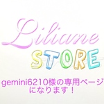 gemini6210様の専用ページになります！