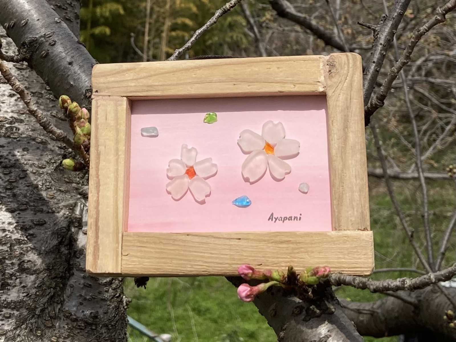 シーグラスアート「桜・お花見」 - AYAPANI-ART'S GALLERY | minne