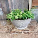 現品のみ♡陶器鉢！ライムグリーンの小花♡クレマチスピクシー寄せ植え♡ナチュラルガーデニング