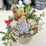 可愛い♡コーヒーカップに入ったトイプードルちゃん♪多肉植物寄せ植え　プレゼント