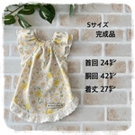 犬服　【完成品】デイジー柄🌼ワンピース