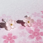 硝子桜の粒ピアス/イヤリング