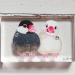 アクリル画（文鳥）