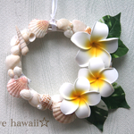 再販♪ハワイ風☆沢山のシェルとプルメリアのリース