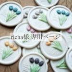 ❁richa様 専用購入ページ❁