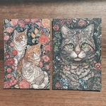 ポストカード 猫 4枚セット