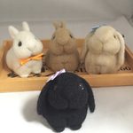 ロップイヤーうさぎ 【黒田さん】  羊毛フェルト